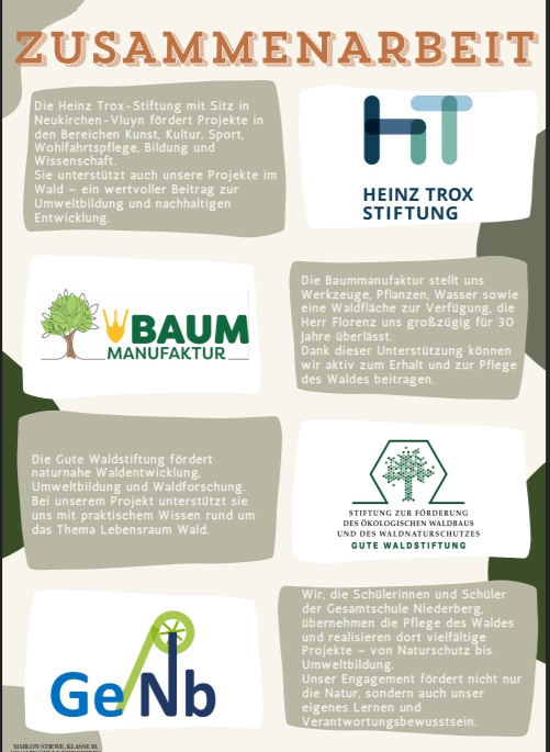 baum2.jpg